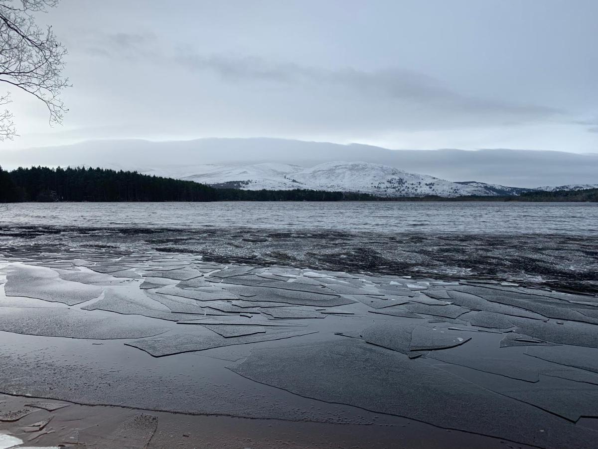 The One - Chalet In The Cairngorms Boat of Garten Ngoại thất bức ảnh